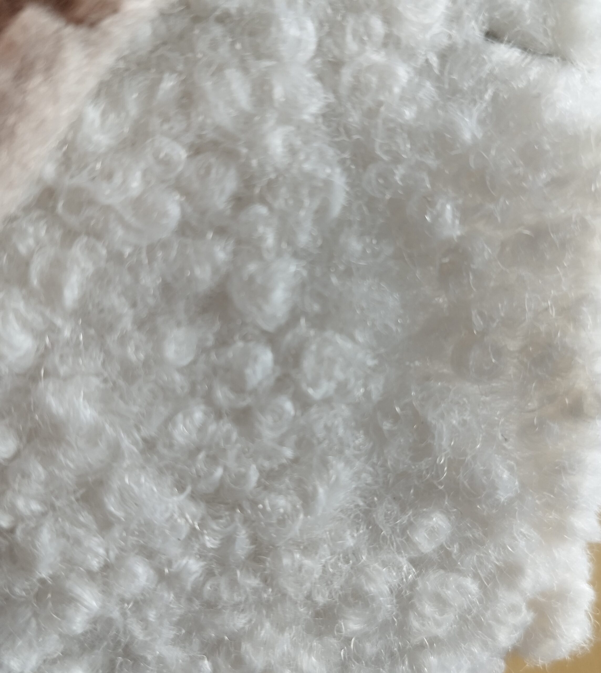 IMG_20231204_121634yrf